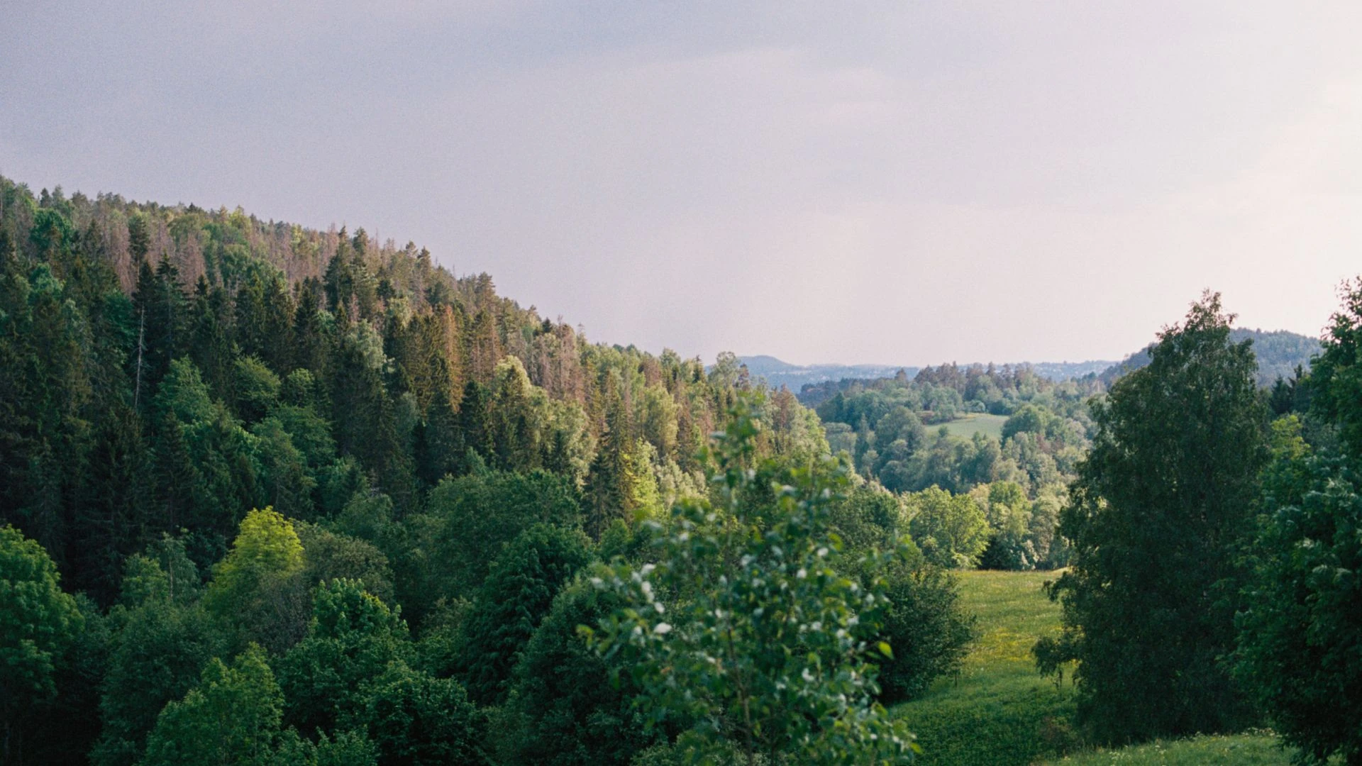 Norsk natur